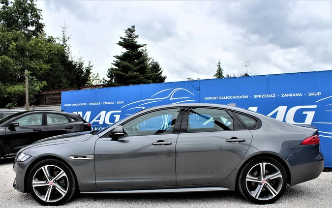 Jaguar XF cena 117800 przebieg: 22000, rok produkcji 2018 z Nowy Targ małe 529